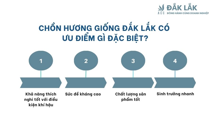 Chồn hương giống Đắk Lắk có ưu điểm gì đặc biệt?