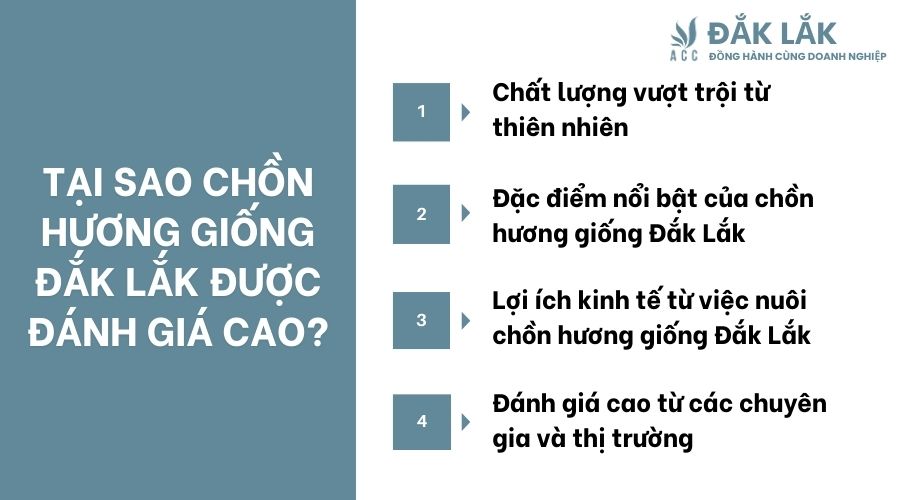 Tại sao chồn hương giống Đắk Lắk được đánh giá cao?