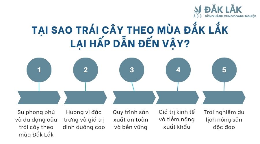 Tại sao trái cây theo mùa Đắk Lắk lại hấp dẫn đến vậy?