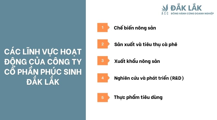 Các lĩnh vực hoạt động của công ty cổ phần Phúc Sinh Đắk Lắk