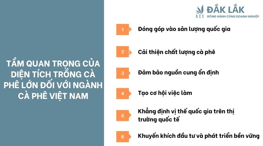 Tầm quan trọng của diện tích trồng cà phê lớn đối với ngành cà phê Việt Nam