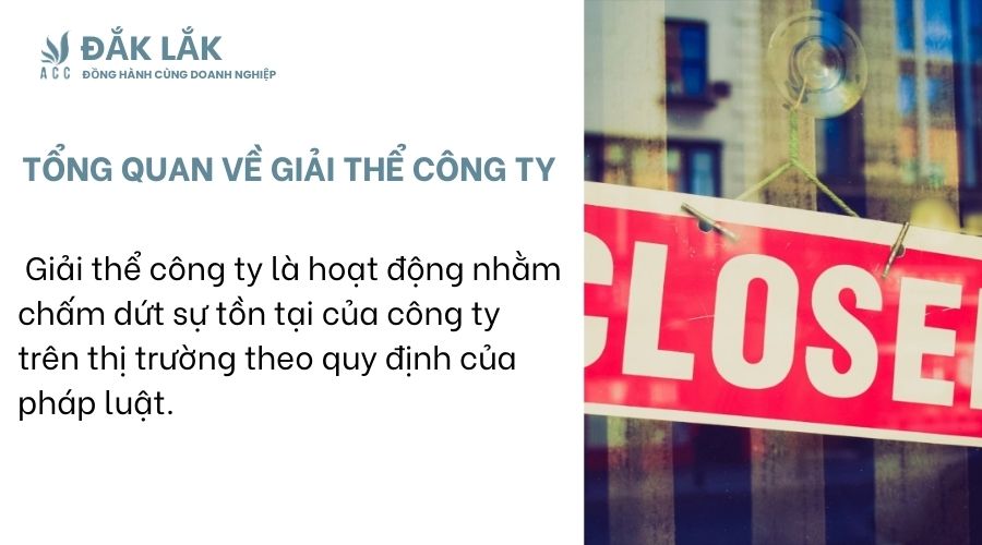 Tổng quan về giải thể công ty 