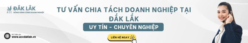 Tư vấn chia tách doanh nghiệp tại Đắk Lắk