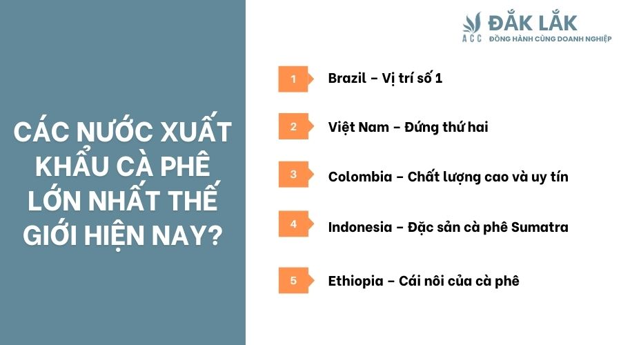 Các nước xuất khẩu cà phê lớn nhất thế giới hiện nay?