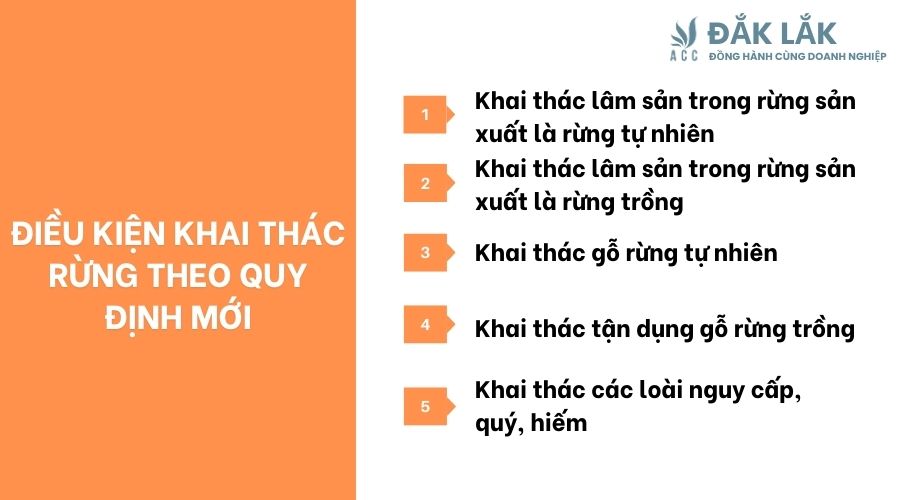 Điều kiện khai thác rừng theo quy định mới