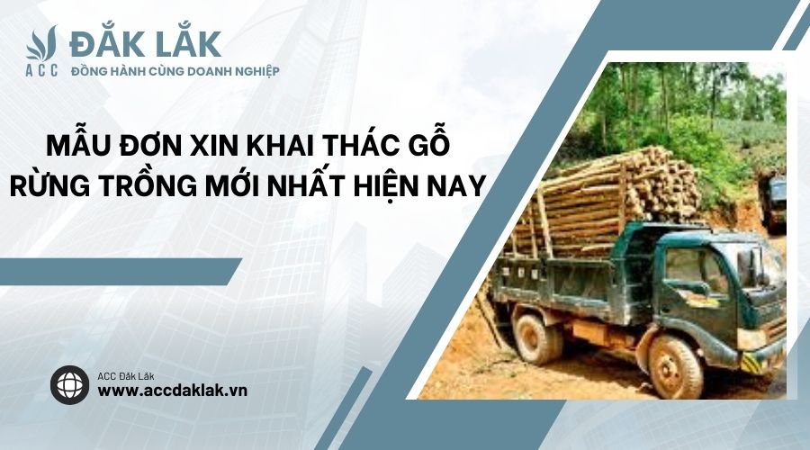 Mẫu đơn xin khai thác gỗ rừng trồng mới nhất hiện nay