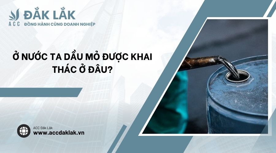Ở nước ta dầu mỏ được khai thác ở đâu?