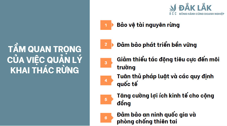 Tầm quan trọng của việc quản lý khai thác rừng