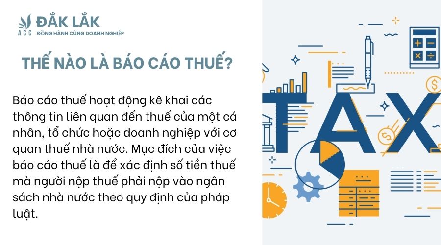 Thế nào là báo cáo thuế? 