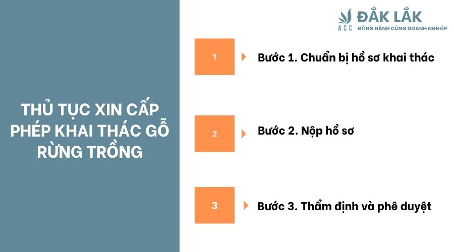 Thủ tục xin cấp phép khai thác gỗ rừng trồng