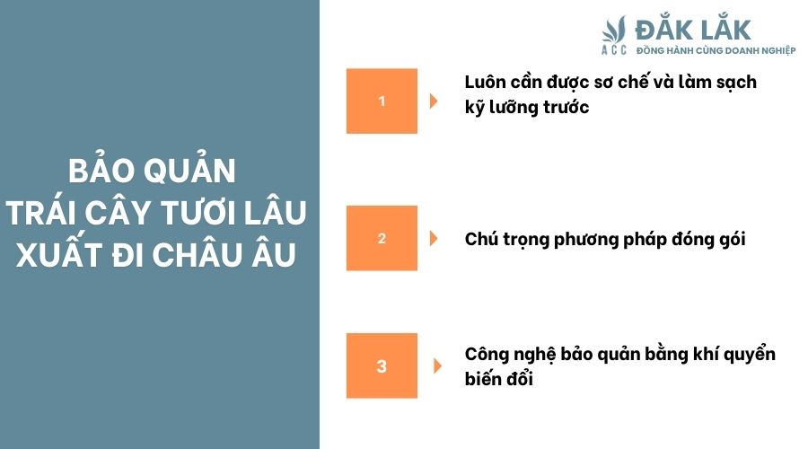 Bảo quản trái cây tươi lâu xuất đi Châu Âu đáp ứng tiêu chuẩn nước nhập khẩu