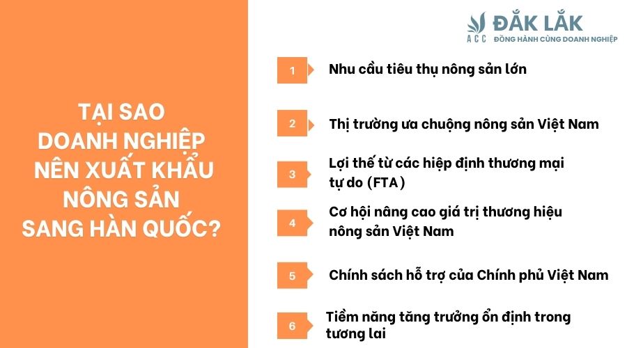 Tại sao doanh nghiệp nên xuất khẩu nông sản sang Hàn Quốc? 