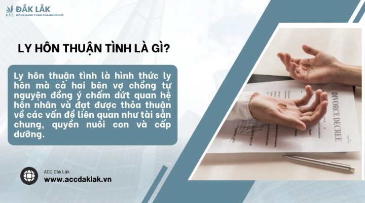 Ly hôn thuận tình là gì?