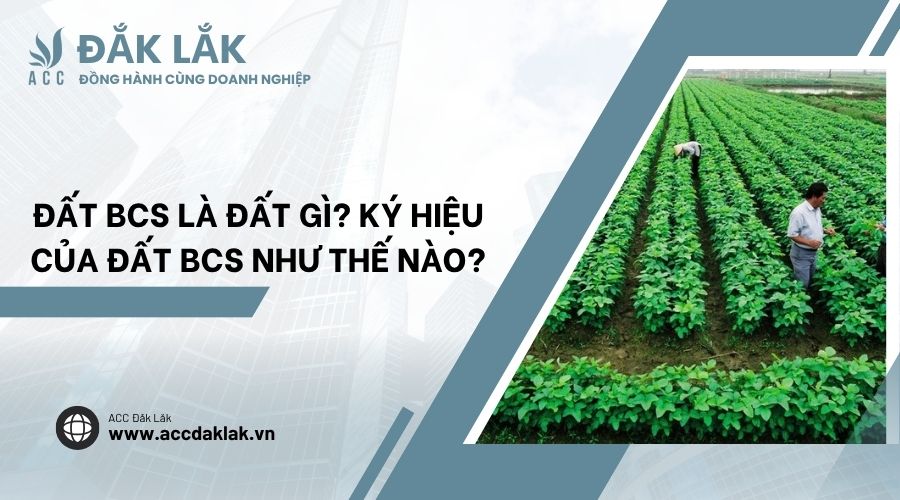 Đất BCS là đất gì? Ký hiệu của đất BCS như thế nào?.jpg