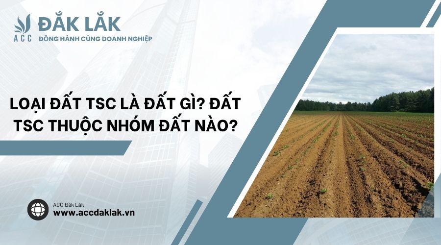 Loại đất TSC là đất gì? Đất TSC thuộc nhóm đất nào?.jpg