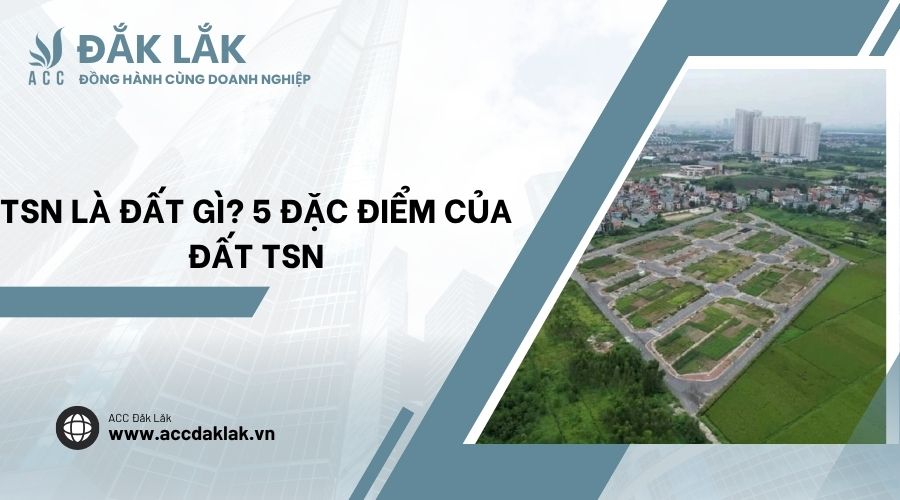 TSN là đất gì? Tìm hiểu chi tiết