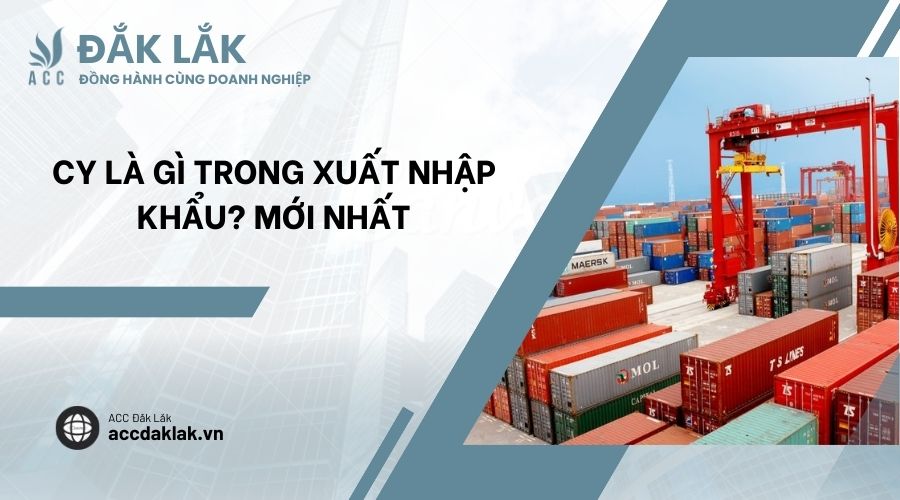 CY là gì trong xuất nhập khẩu? Mới nhất