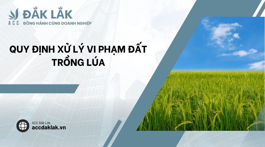 Quy định xử lý vi phạm đất trồng lúa