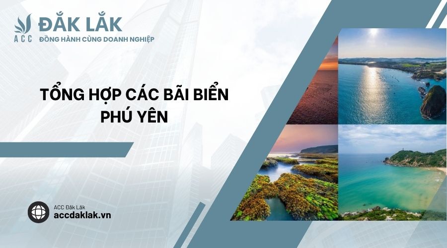 Tổng hợp các bãi biển Phú Yên