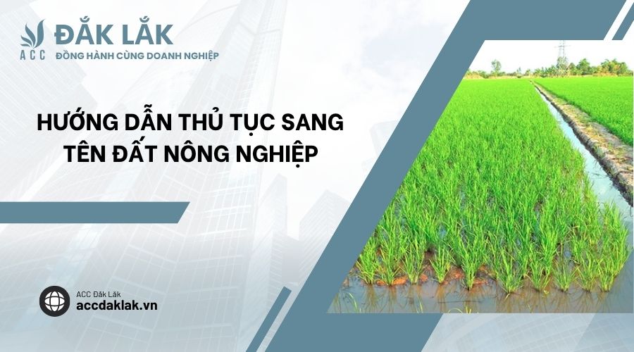 Hướng dẫn thủ tục sang tên đất nông nghiệp