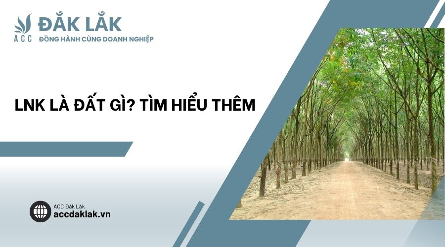 LNK là đất gì? Tìm hiểu thêm