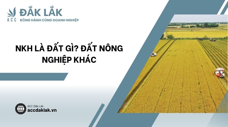 NKH là đất gì? Đất nông nghiệp khác