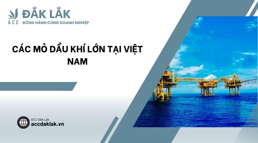 Các mỏ dầu khí lớn tại Việt Nam