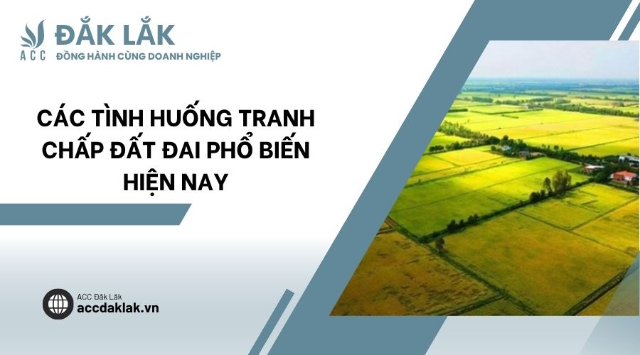 Các tình huống tranh chấp đất đai phổ biến hiện nay