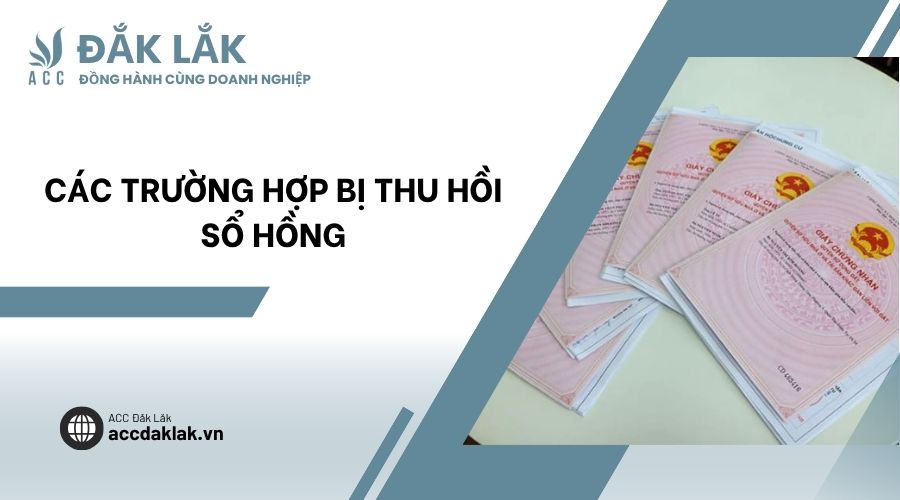 Các trường hợp bị thu hồi sổ hồng