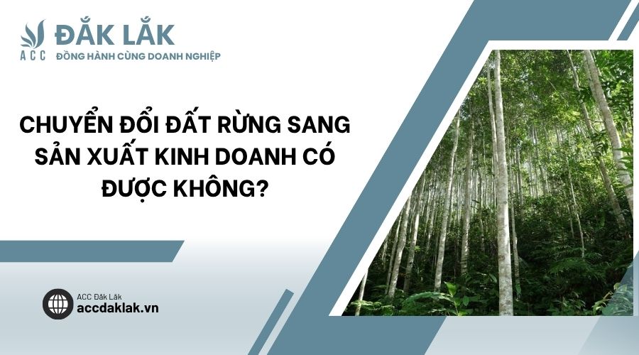 Chuyển đổi đất rừng sang sản xuất kinh doanh có được không?