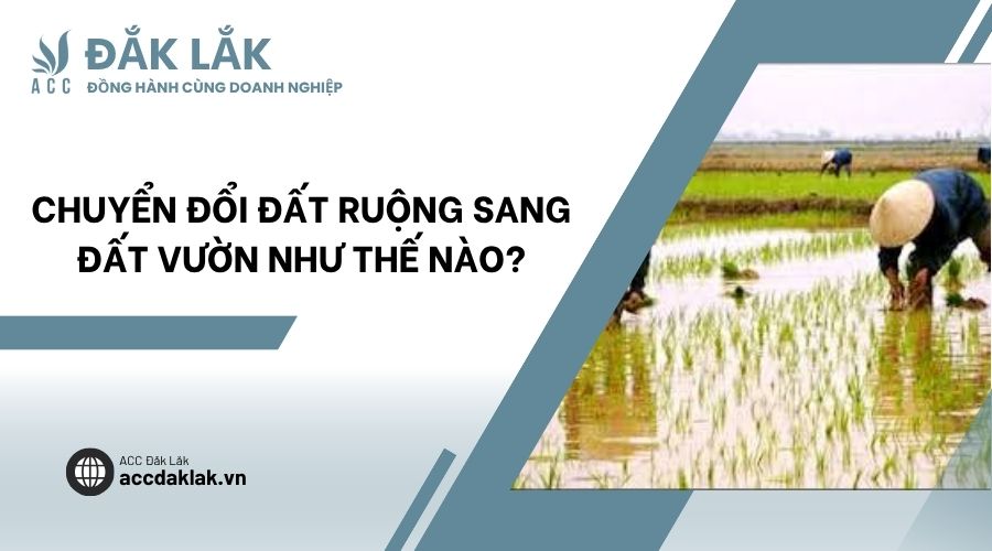 Chuyển đổi đất ruộng sang đất vườn như thế nào?