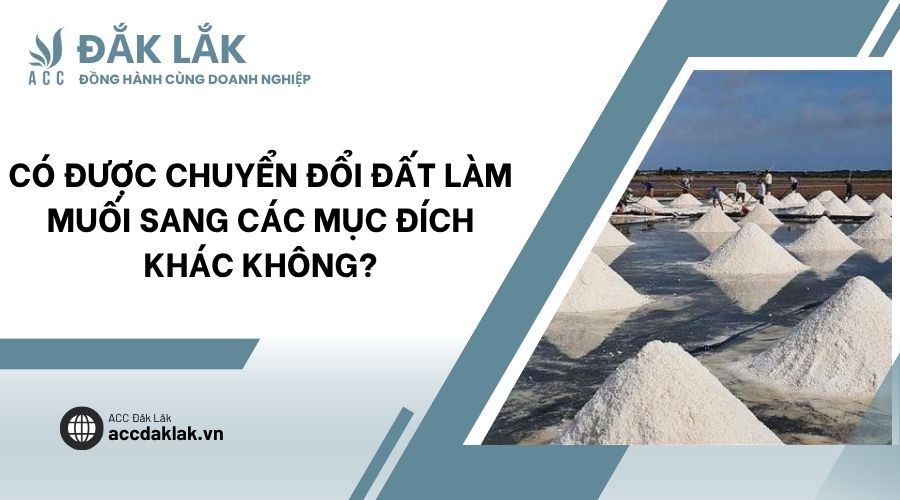 Có được chuyển đổi đất làm muối sang các mục đích khác không?