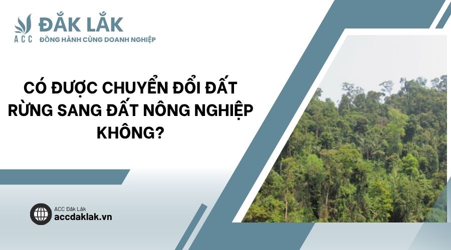 Có được chuyển đổi đất rừng sang đất nông nghiệp không?