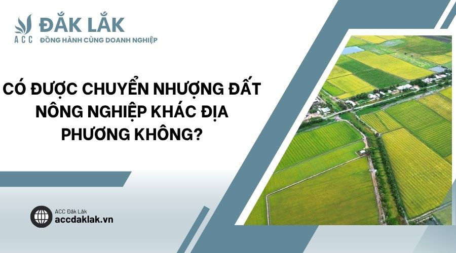 Có được chuyển nhượng đất nông nghiệp khác địa phương không?