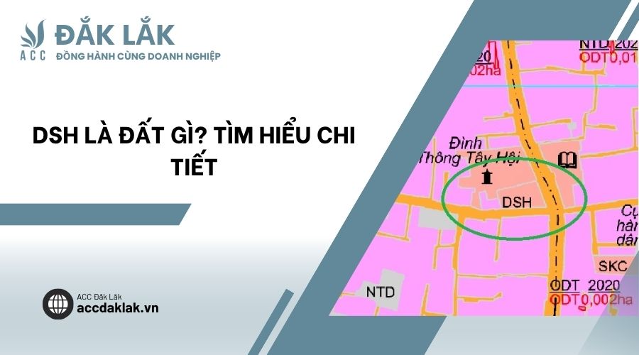 DSH là đất gì? Tìm hiểu chi tiết