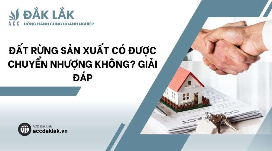 Đất rừng sản xuất có được chuyển nhượng không? Giải đáp