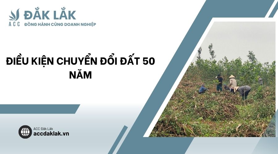 Điều kiện chuyển đổi đất 50 năm