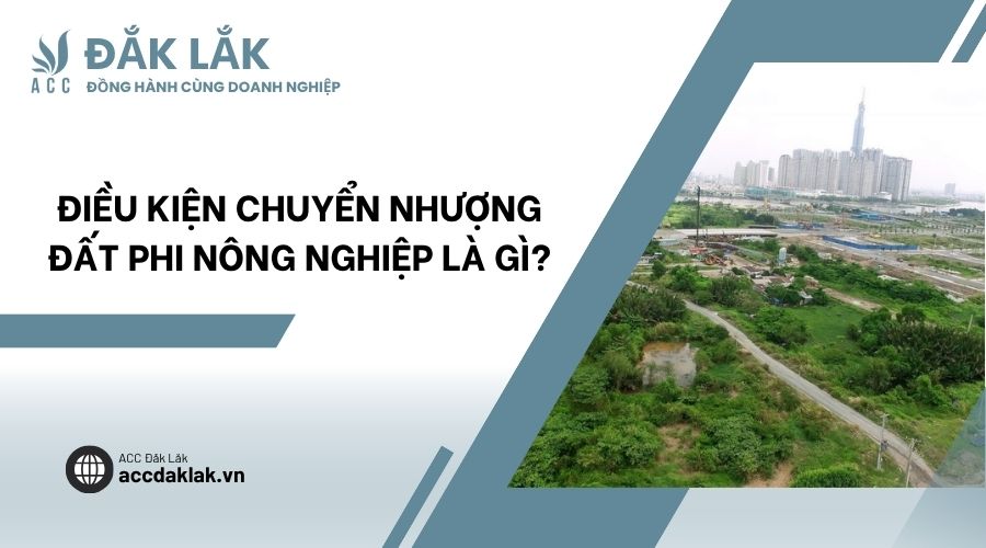 Điều kiện chuyển nhượng đất phi nông nghiệp là gì?
