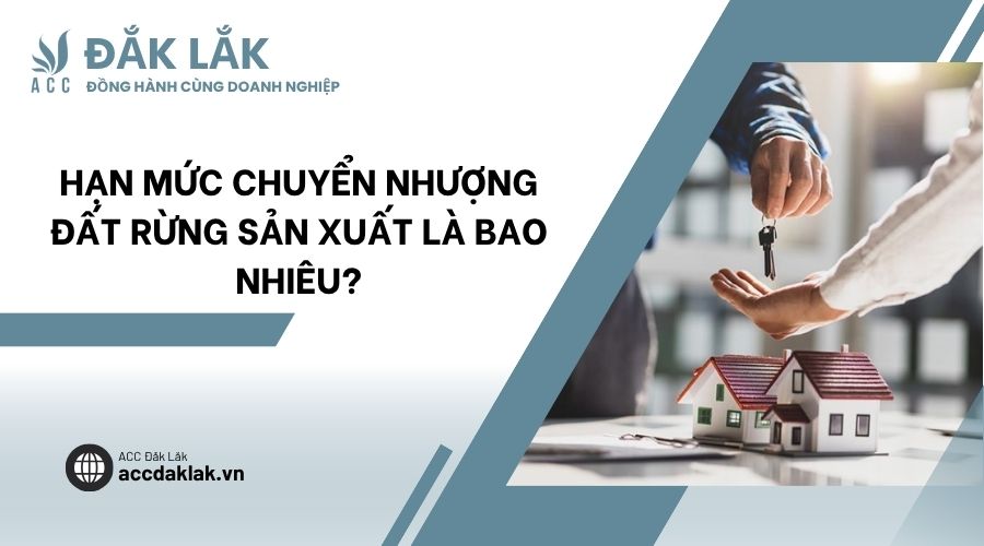 Hạn mức chuyển nhượng đất rừng sản xuất là bao nhiêu?