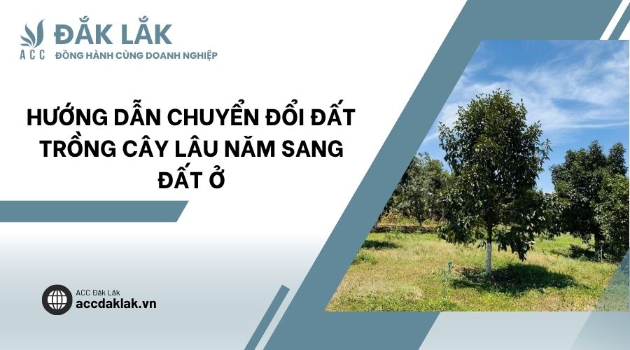 Hướng dẫn chuyển đổi đất trồng cây lâu năm sang đất ở