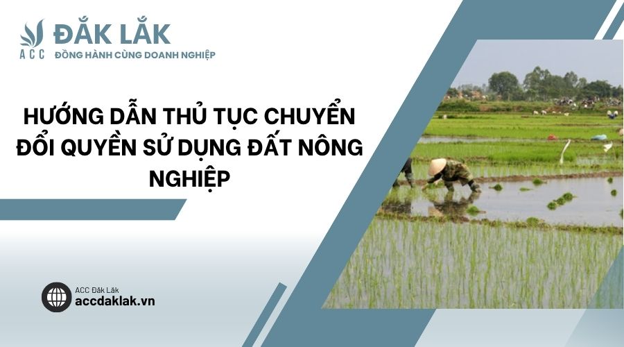 Hướng dẫn thủ tục chuyển đổi quyền sử dụng đất nông nghiệp