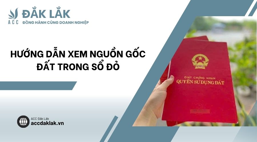 Hướng dẫn xem nguồn gốc đất trong sổ đỏ