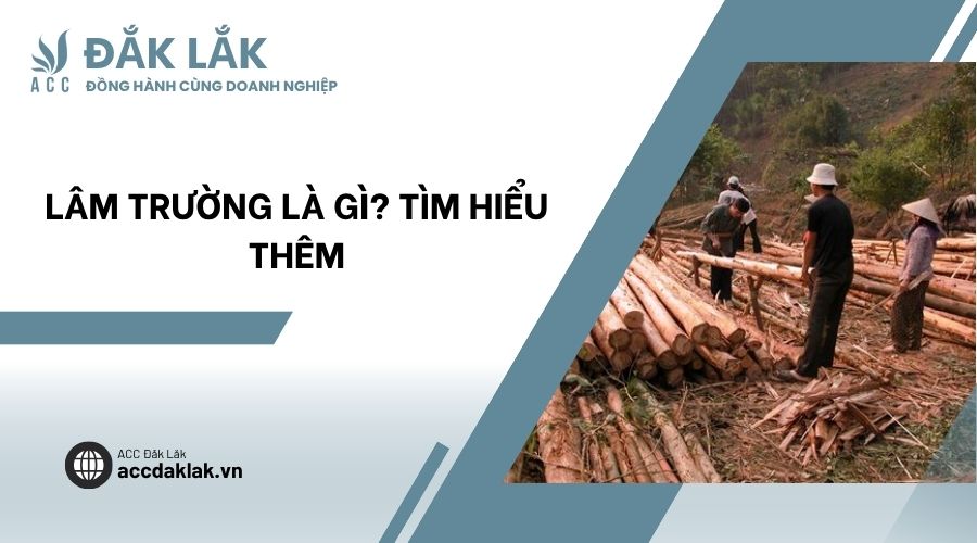Lâm trường là gì? Tìm hiểu thêm