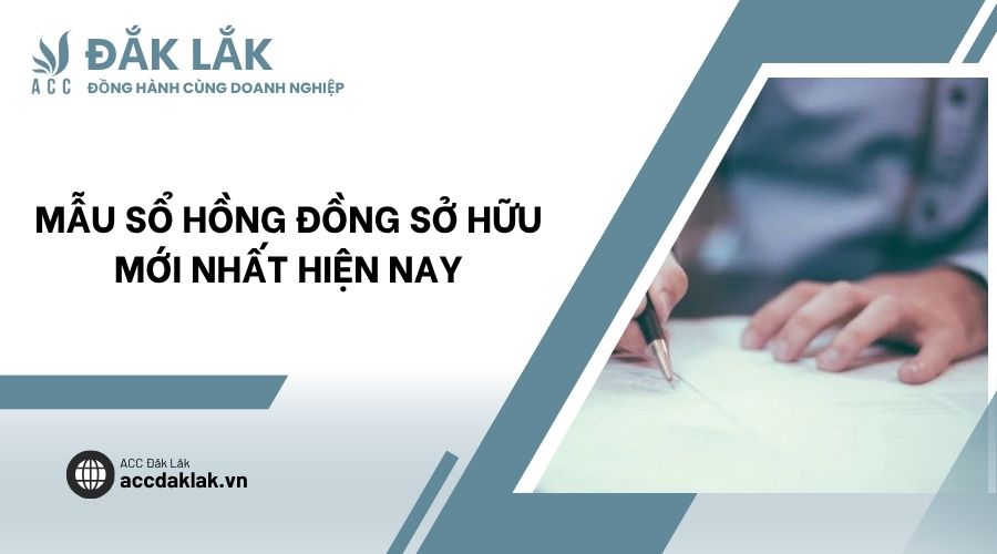 Mẫu sổ hồng đồng sở hữu mới nhất hiện nay