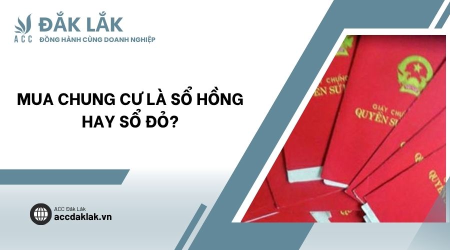 Mua chung cư là sổ hồng hay sổ đỏ?