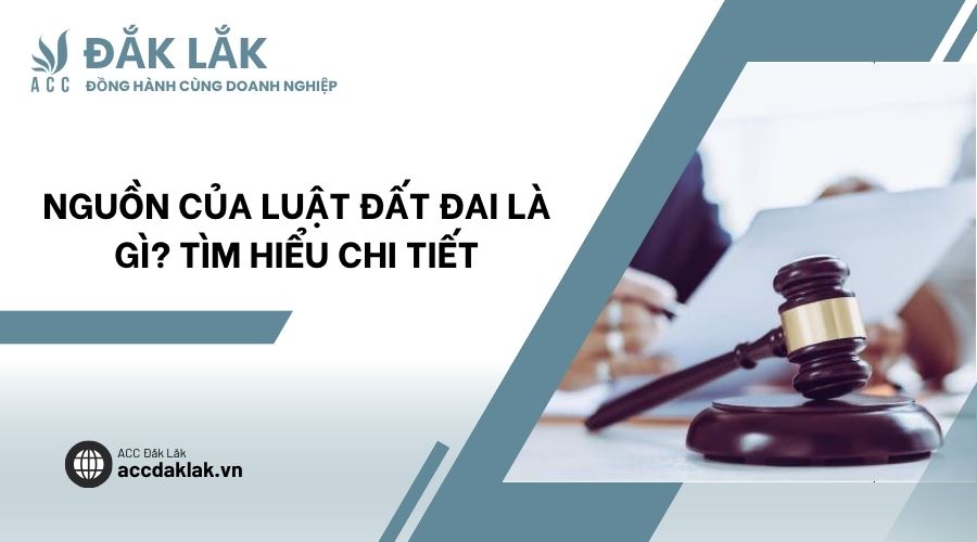 Nguồn của luật đất đai là gì? Tìm hiểu chi tiết