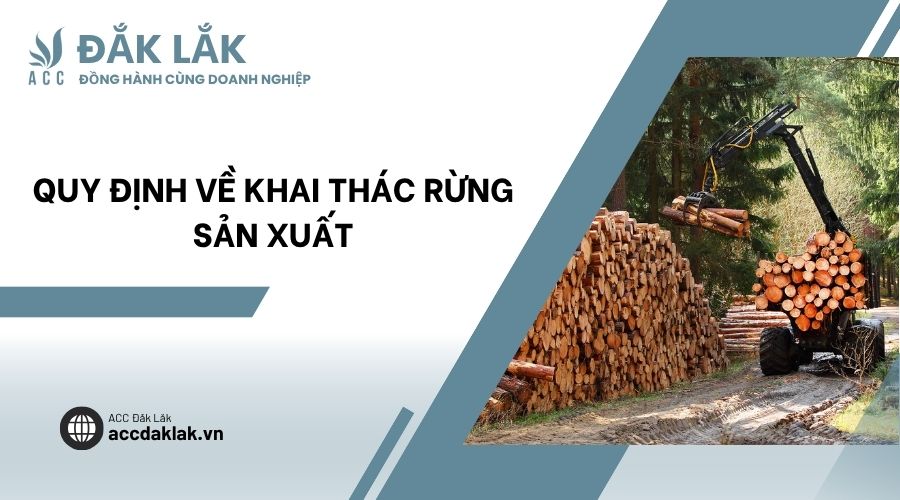 Quy định về khai thác rừng sản xuất
