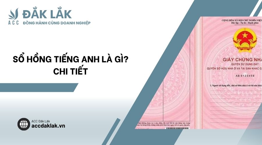 Sổ hồng tiếng Anh là gì? Chi tiết