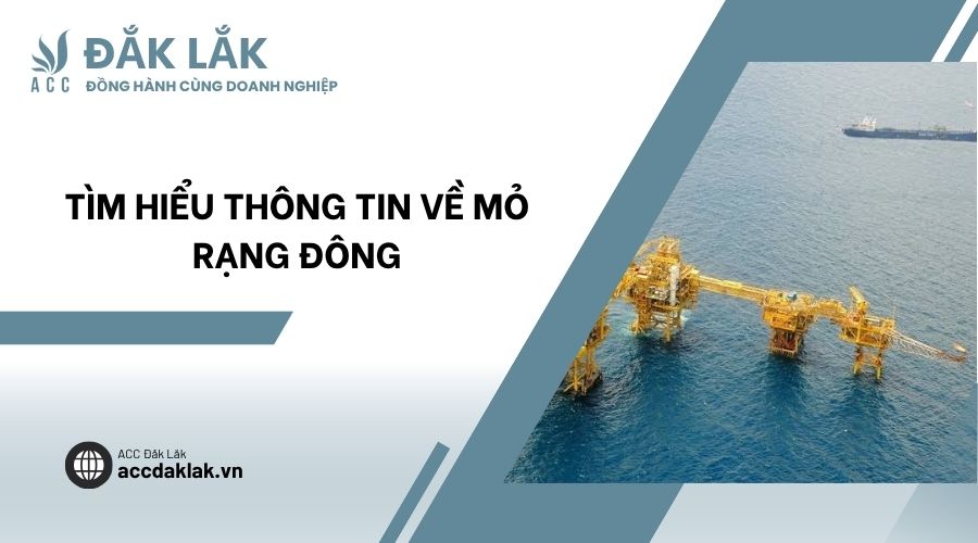Tìm hiểu thông tin về mỏ Rạng Đông