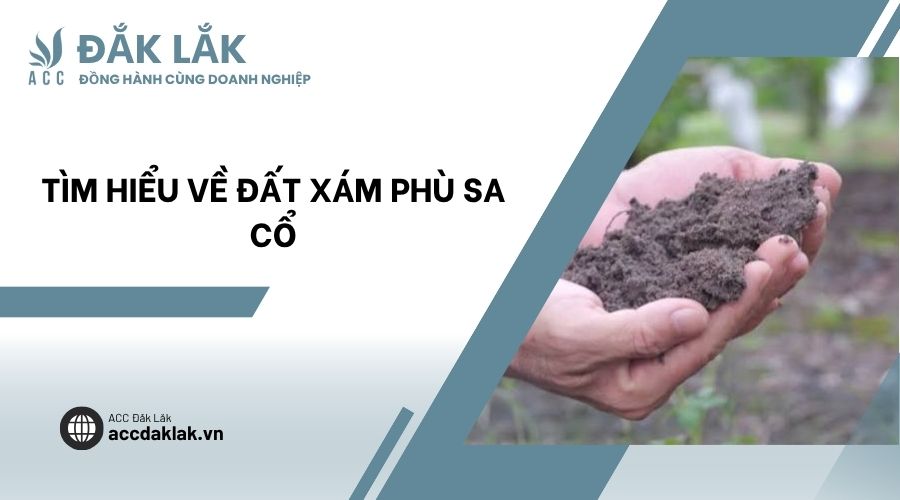 Tìm hiểu về đất xám phù sa cổ